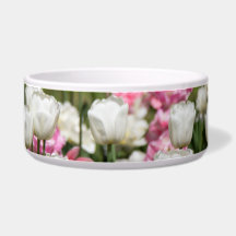 晴れた日の明るい白とピンクのチューリップ