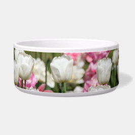 晴れた日の明るい白とピンクのチューリップ ボウル