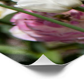 晴れた日の明るい白とピンクのチューリップ ポスター (コーナー)