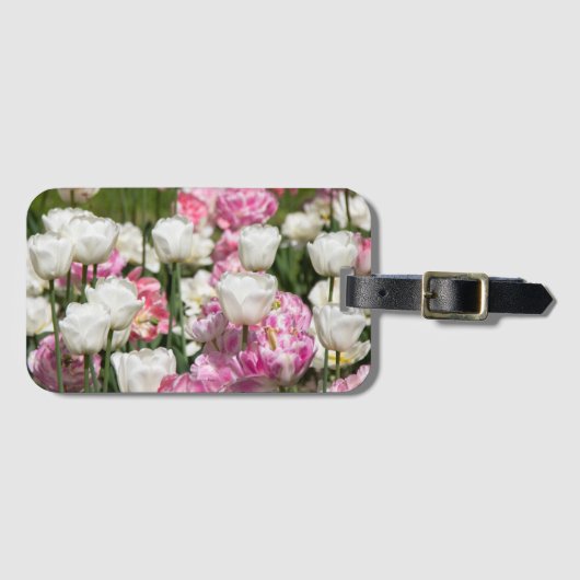 晴れた日の明るい白とピンクのチューリップ ラゲッジタグ (正面横)