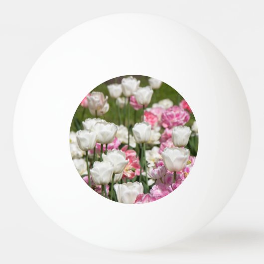 晴れた日の明るい白とピンクのチューリップ 卓球ボール (正面)