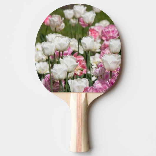 晴れた日の明るい白とピンクのチューリップ 卓球ラケット (正面)