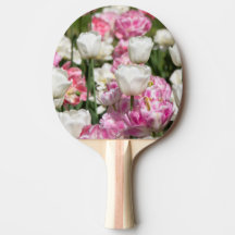 晴れた日の明るい白とピンクのチューリップ