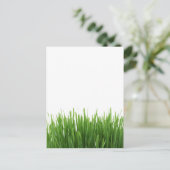 晴れた明るい緑の草の写真プリント ポストカード (スタンド正面)