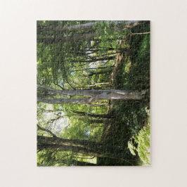 晴れた森の風景。 ジグソーパズル