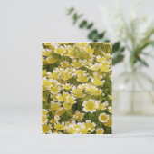 晴れた金ゴールド白い花 ポストカード (スタンド正面)