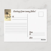 晴れのドバイからの挨拶 ポストカード (裏面)