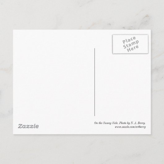 『晴れの側』 ポストカード (裏面)