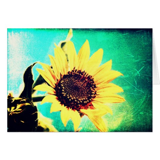 晴れの日 (正面横)