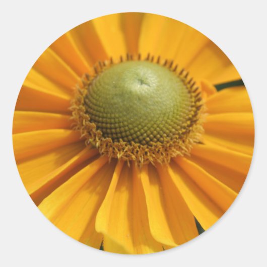 晴れの日 ラウンドシール (正面)