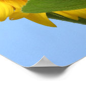 晴れ日の花のポスター ポスター (角)