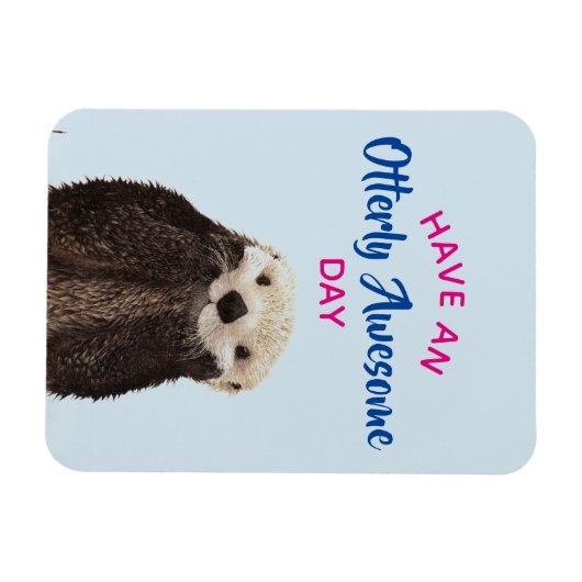 晴れ着素晴らしの写真を撮る マグネット (横)