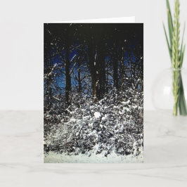 晴れ雪のクリスマスフレームアブルカード5x7 シーズンカード
