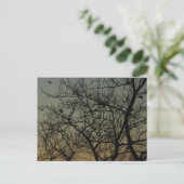 『暁のロビン・ツリー』/ロビン 案内ポストカード (スタンド正面)