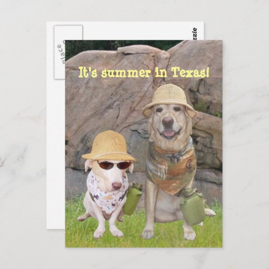 暑い南からの挨拶！ ポストカード (正面/裏面)