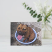 暑い日に冷却 ポストカード (スタンド正面)