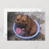 暑い日に冷却 ポストカード (正面/裏面)