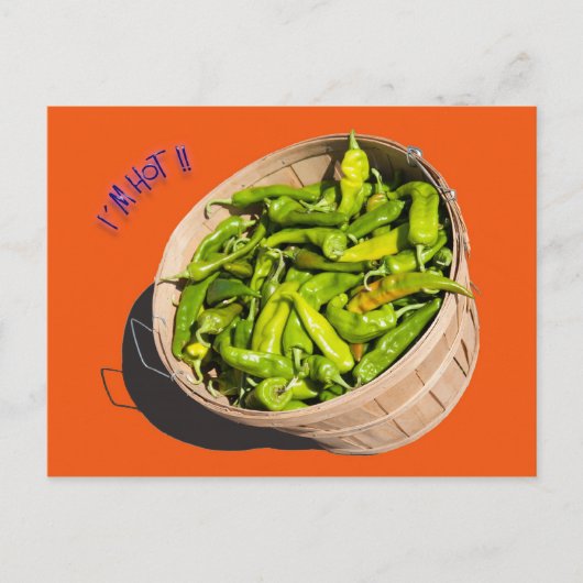 暑い!! ポストカード (正面)