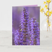 暑中見舞空白のいの色 カード (黄色い花)