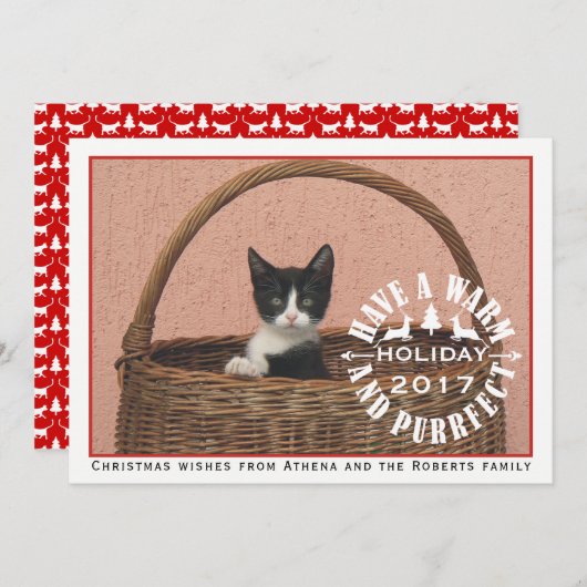 暖かいおよびpurrfectの休日赤いペットクリスマスを持って下さい シーズンカード (正面/裏面)