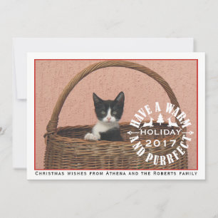 暖かいおよびpurrfectの休日赤いペットクリスマスを持って下さい シーズンカード