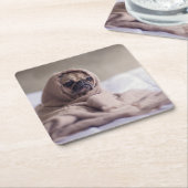 暖かいタオルの毛布に抱きしめたパグ子犬 スクエアペーパーコースター (アングル)