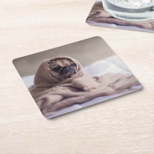 暖かいタオルの毛布に抱きしめたパグ子犬 スクエアペーパーコースター (アングル)