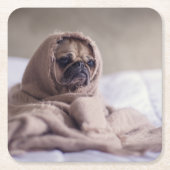 暖かいタオルの毛布に抱きしめたパグ子犬 スクエアペーパーコースター (正面)