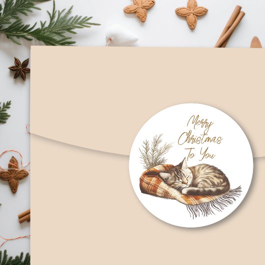 暖かいブランケットのクリスマスに眠る甘い子猫 ラウンドシール