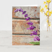 暖かいレンガに対するメキシコのセージのフッ化物 カード (黄色い花)