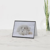 暖かい保つこと カード (正面)