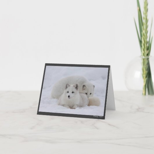 暖かい保つこと カード (正面)