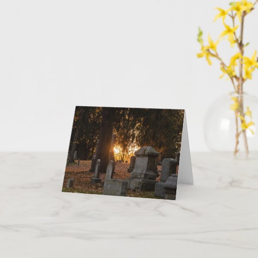 暖かい夕日 カード (黄色い花)