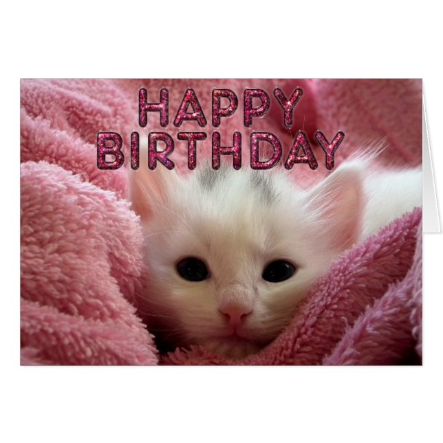 暖かい愛らしい子猫の滞在 (正面横)