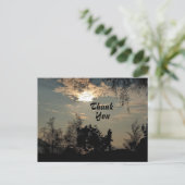 暖かい日没の景色の木ありがとうポストカード ポストカード (スタンド正面)