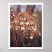 暖かい秋の野草フェミニンのウォールアート ポスター (正面)