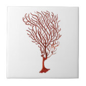 暖かい紅海の珊瑚no.5の航海のな装飾 タイル (正面)