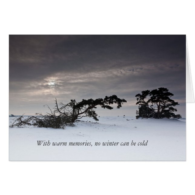 暖かい記憶を使うと冬は冷たい場合もありません (正面横)