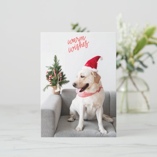 暖かい願いをリアカスタム文字で撮影 シーズンカード (スタンド正面)