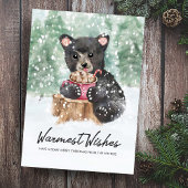 暖かい願いベアーキュブココアクリスマス シーズンカード