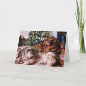 暖かくてファジーな休日 – かわいい犬のカード シーズンカード (正面)