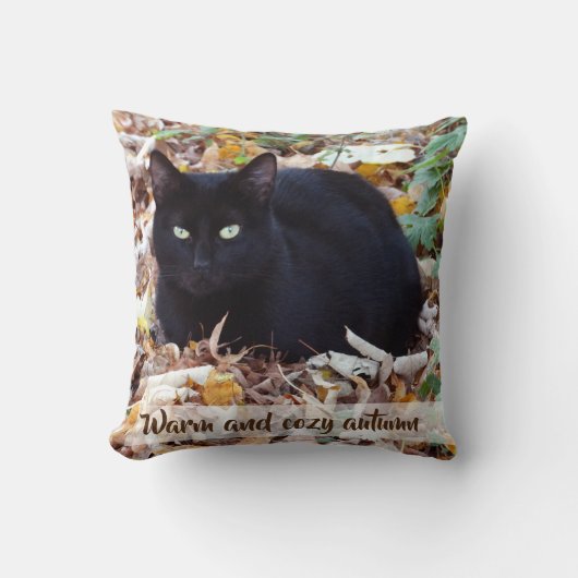 暖かく、居心地のよい秋の投球のクッション41 x 41 cm クッション (正面)