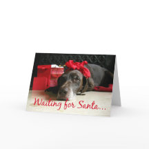 暖炉でサンタのポインタとプレゼントを待つ