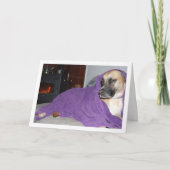 暖炉のそばで眠い犬 カード (正面)