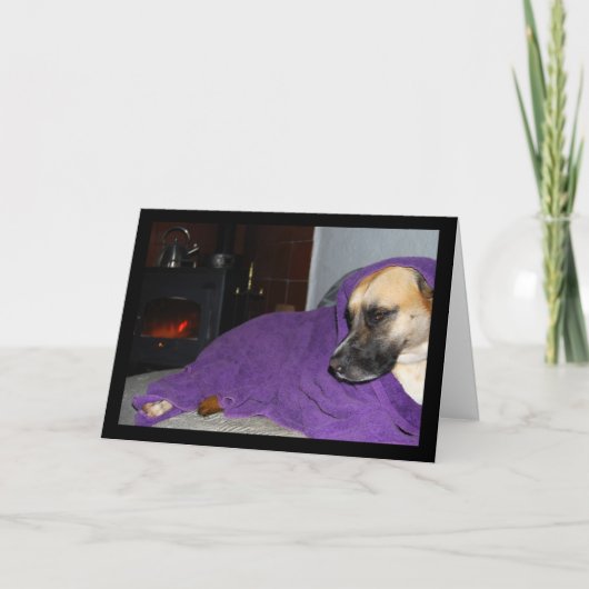 暖炉のそばで眠る犬 カード (正面)