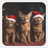 暖炉のそばのアビシニアン クリスマス スクエアシール (正面)