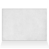 暖炉のそばのクリスマスラグドール猫 (内部横(上))