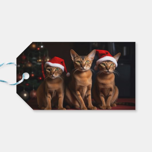 暖炉のクリスマスまでにアビシニアン ギフトタグ (裏面横)