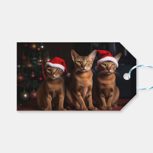 暖炉のクリスマスまでにアビシニアン ギフトタグ (正面(横))