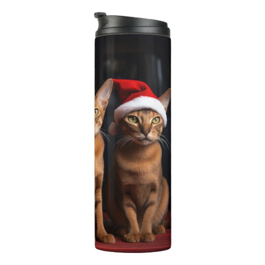 暖炉のクリスマスまでにアビシニアン タンブラー (回転右)